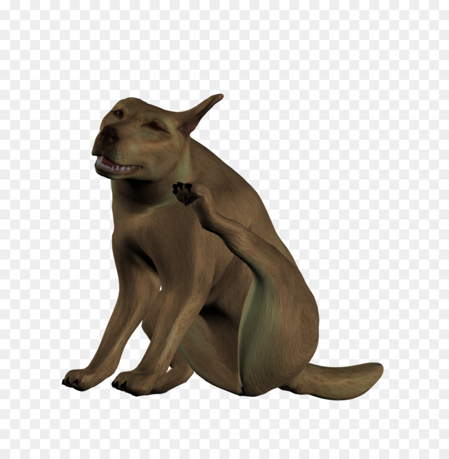 Chien，Stock PNG