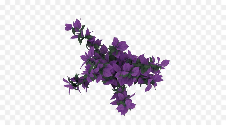 Fleurs Violettes，Fleurir PNG