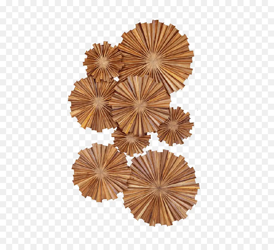 Cercles En Bois，Bois PNG