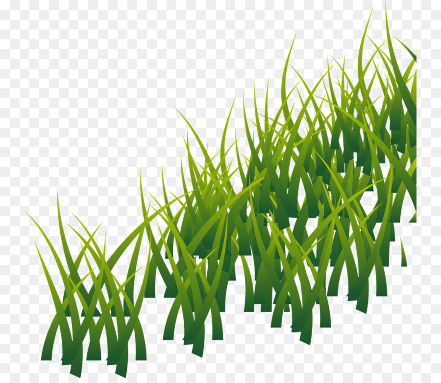 Herbe，Vert PNG