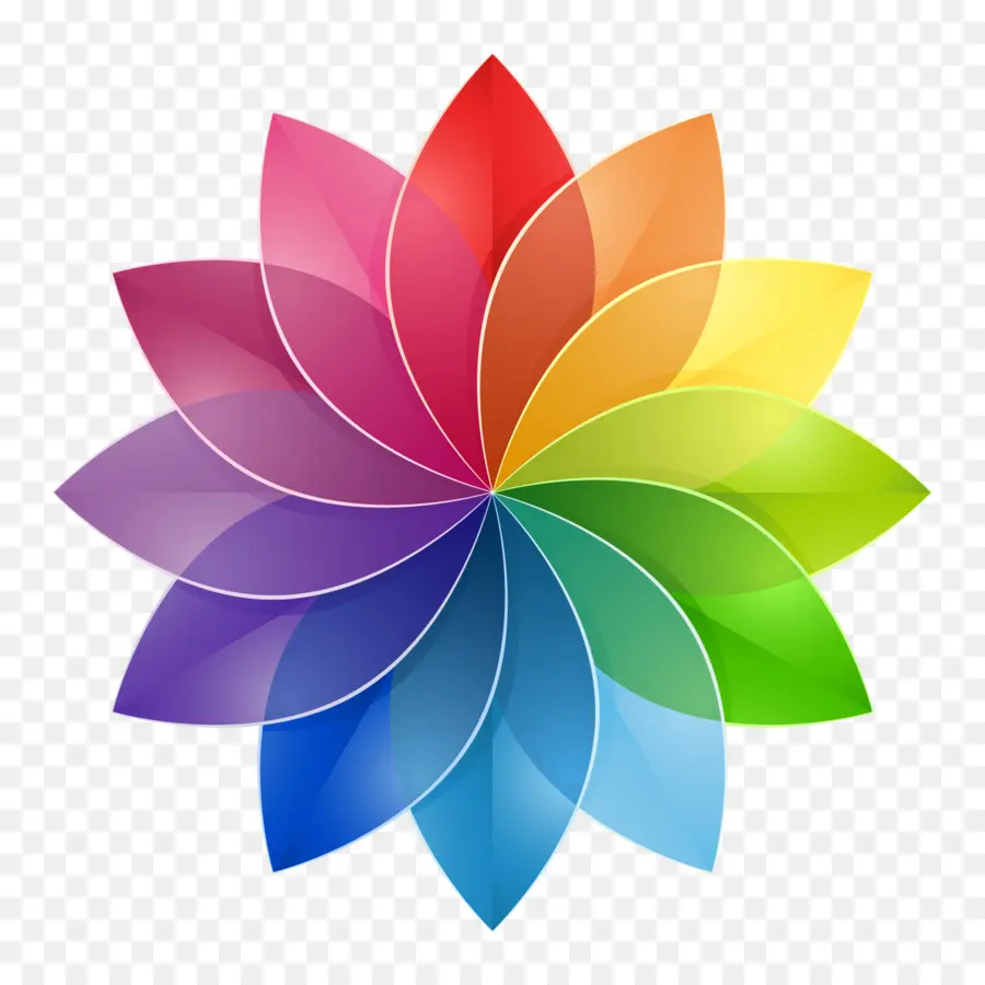 Fleur Colorée，Fleur PNG