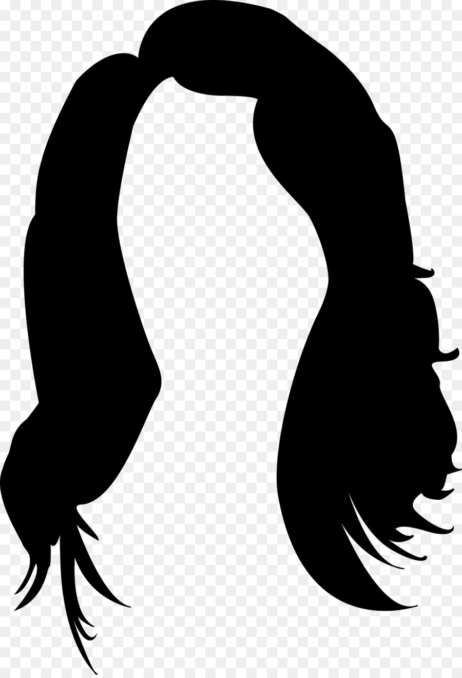 Cheveux，Les Cheveux Longs PNG