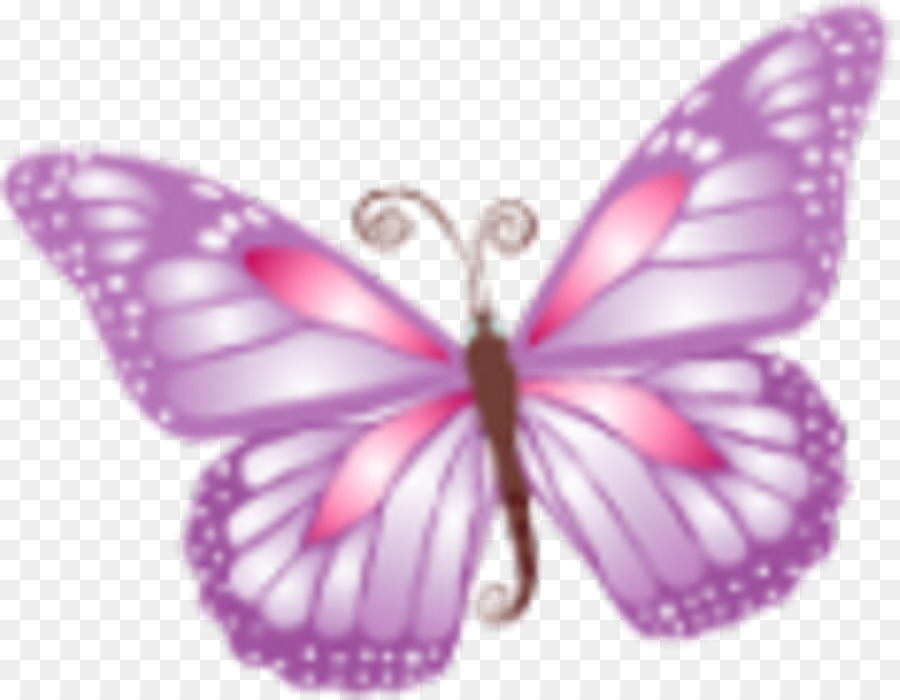 Papillon Violet，Insecte PNG