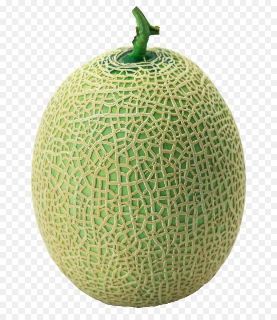 Melon，Cantaloup PNG