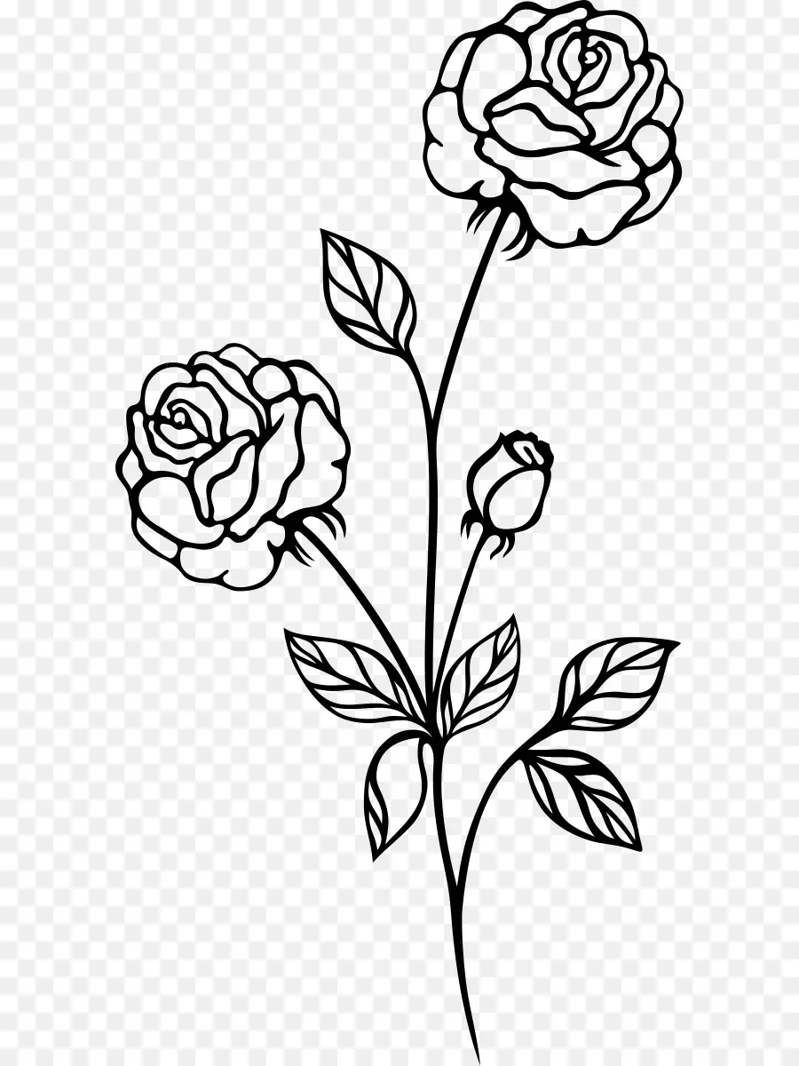 Rose，Noir Et Blanc PNG