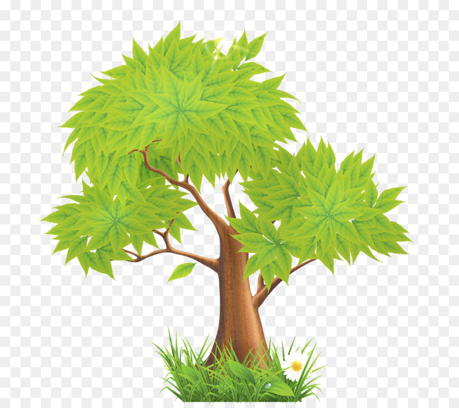 Arbre，Feuilles PNG