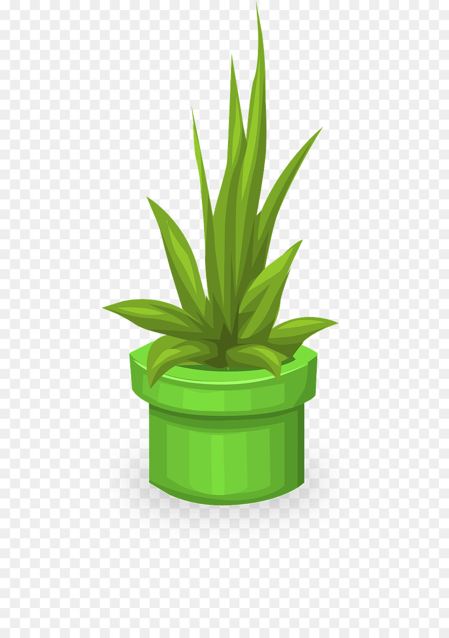 Plante Verte，Pot PNG