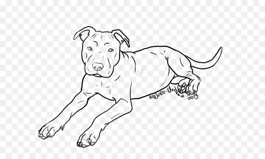 Dessin De Chien，Animal PNG