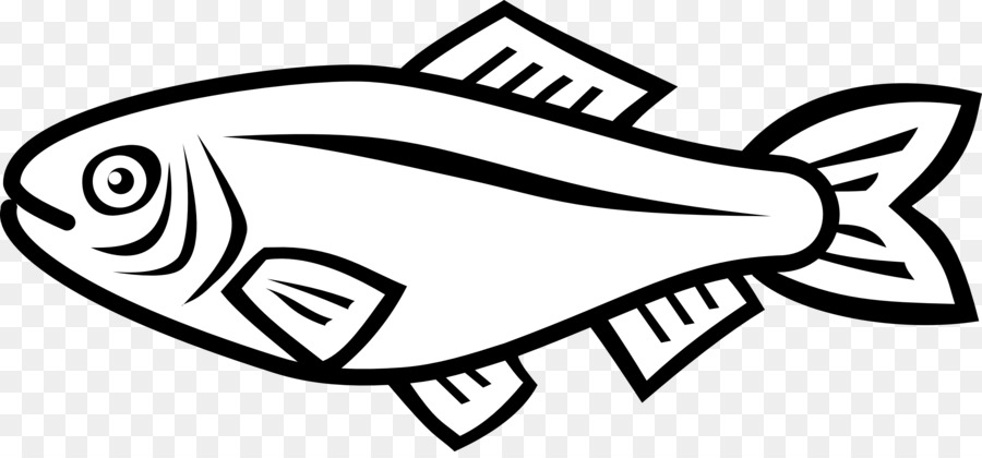 Poisson，Aquatique PNG