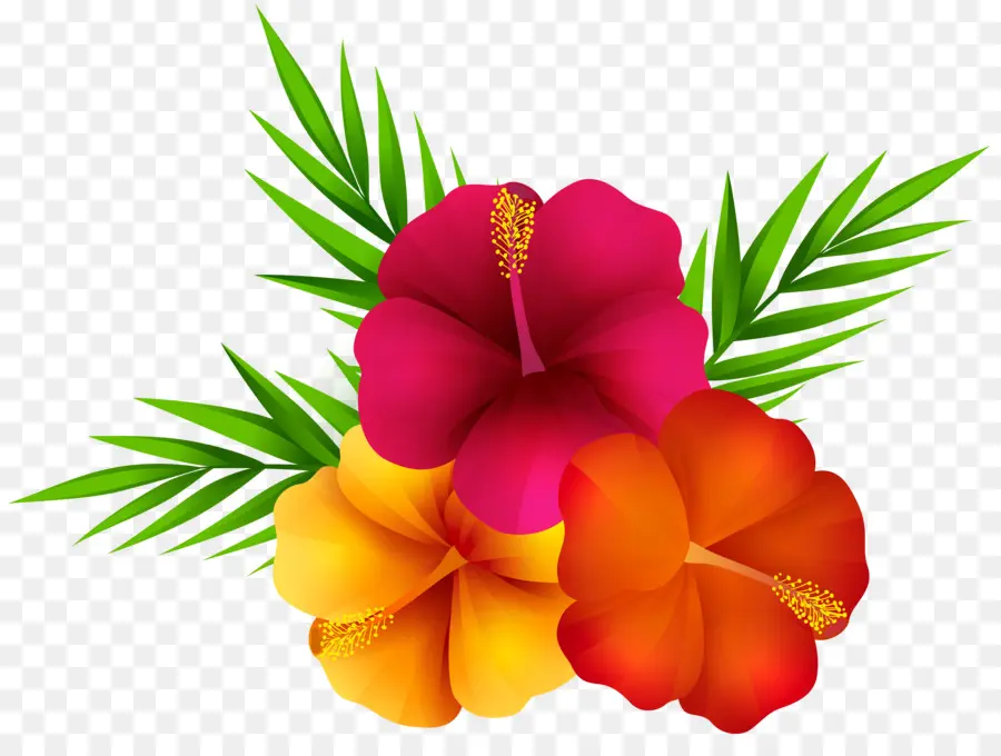 Fleur，Pétale PNG