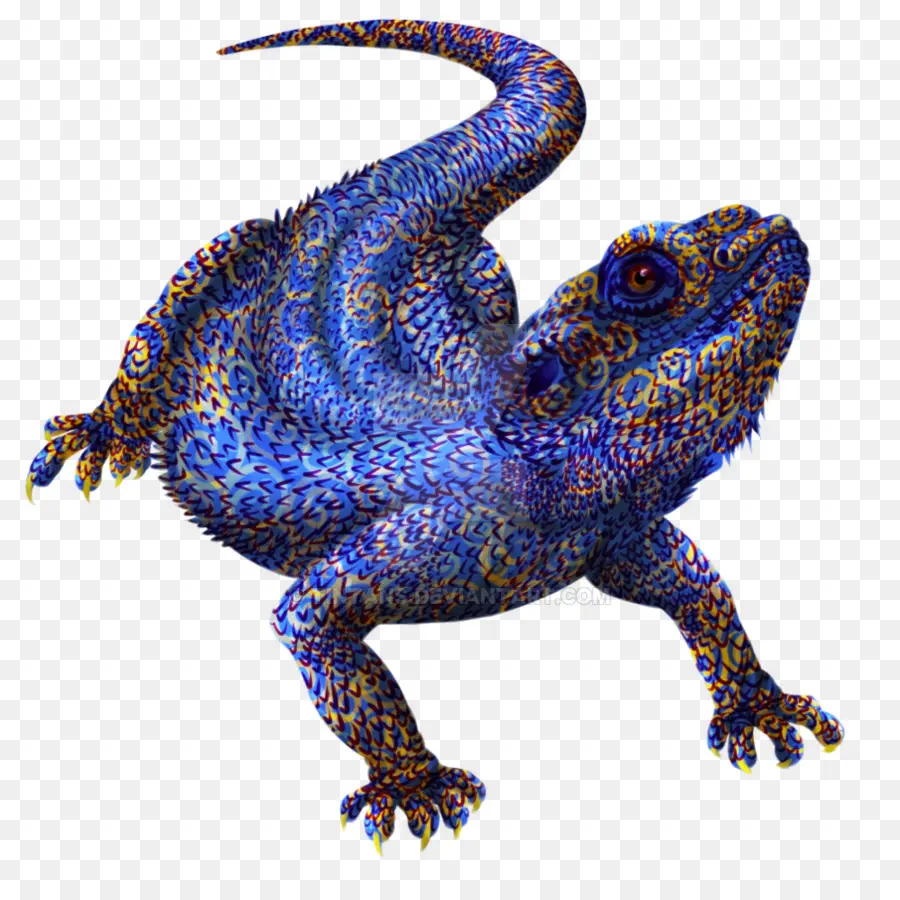 Lézard，Reptile PNG