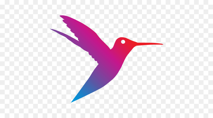 Colibri，Coloré PNG