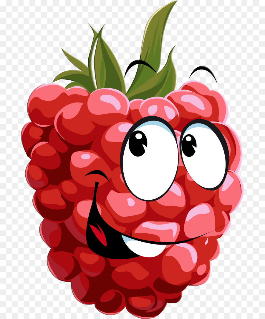 framboise dessin berry png framboise dessin berry transparentes png gratuit framboise dessin berry png