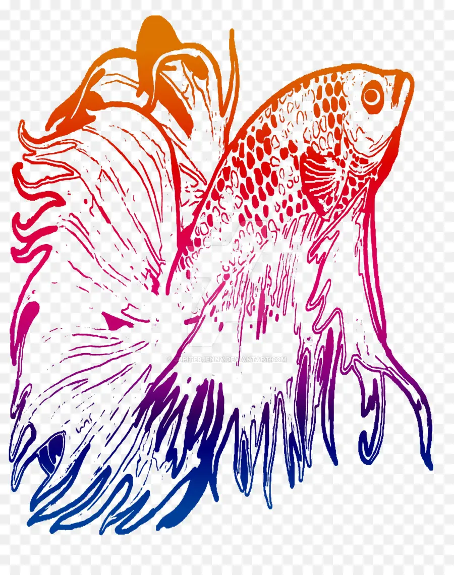 Poisson Betta，Eau PNG