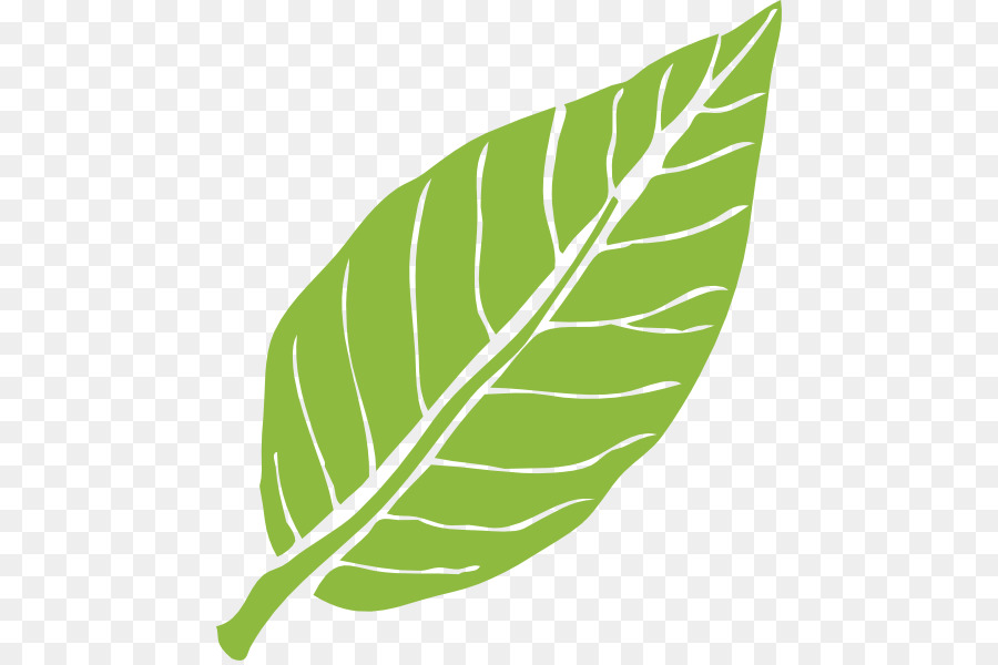 Feuille Verte，Usine PNG