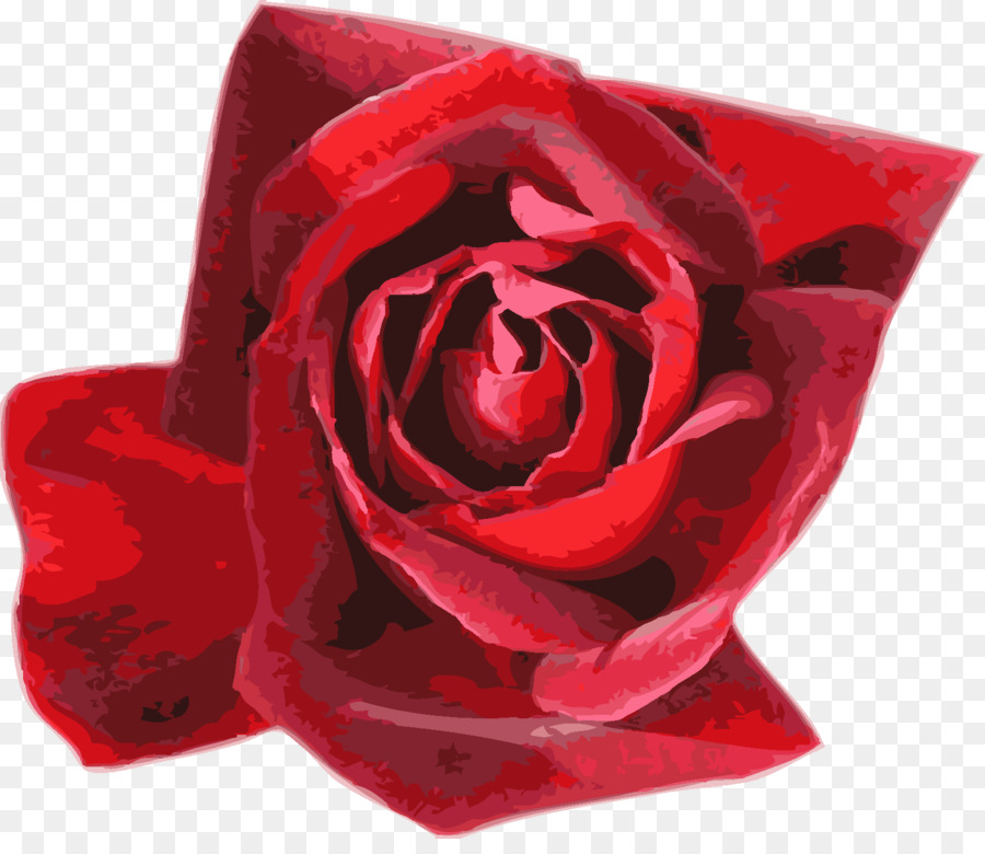 Roses Rouges，Floraison PNG