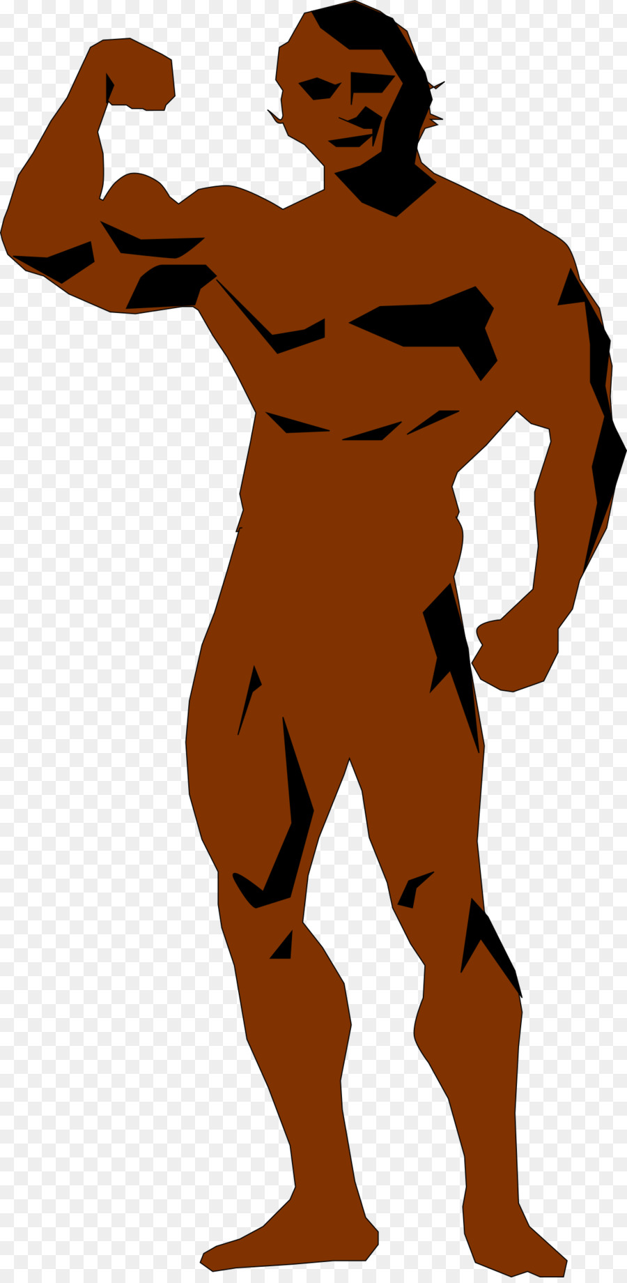 Culturiste，Muscles PNG