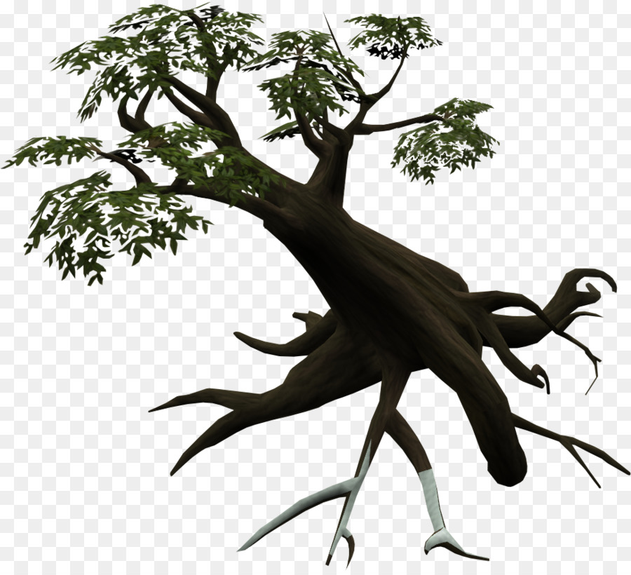 Arbre，Nature PNG