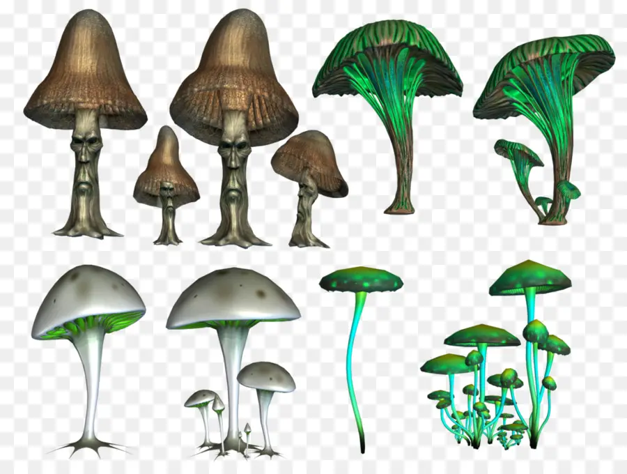 Champignons，Champignon Hallucinogène PNG