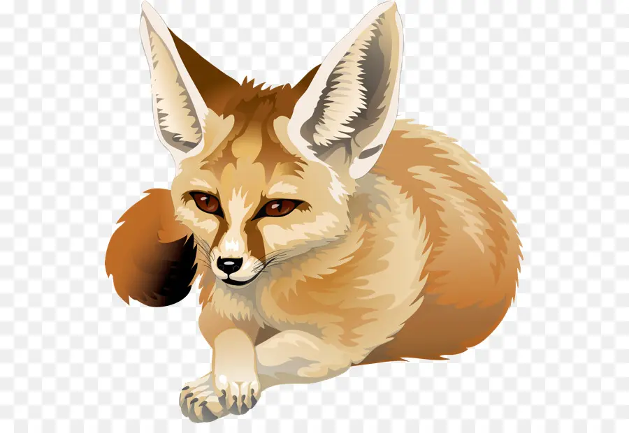 Renard，Sauvage PNG