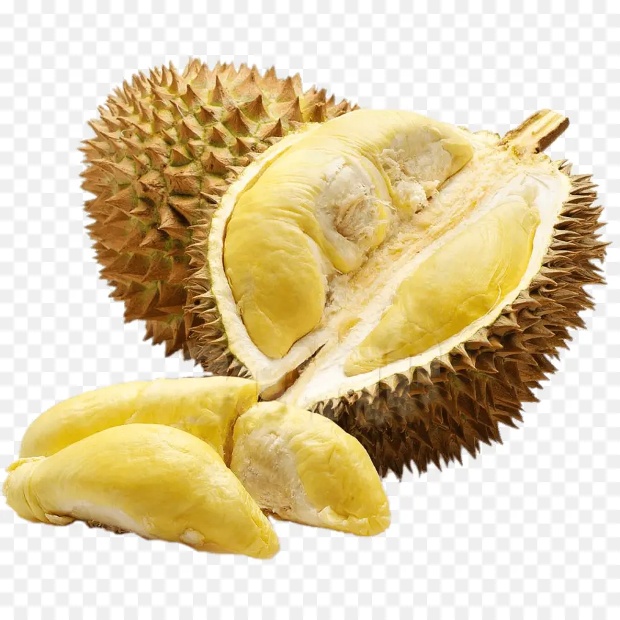 Durian，Tropical PNG