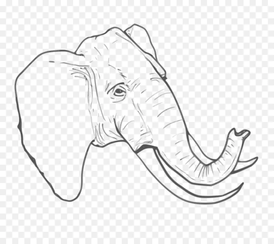 L éléphant，Ordinateur Icônes PNG