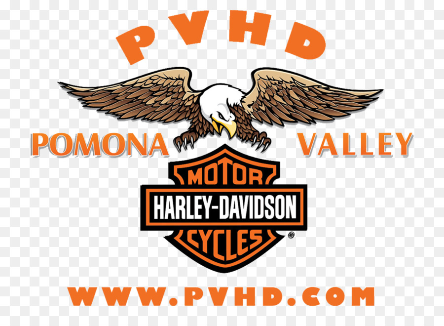 Logo Harley Davidson，Aigle PNG