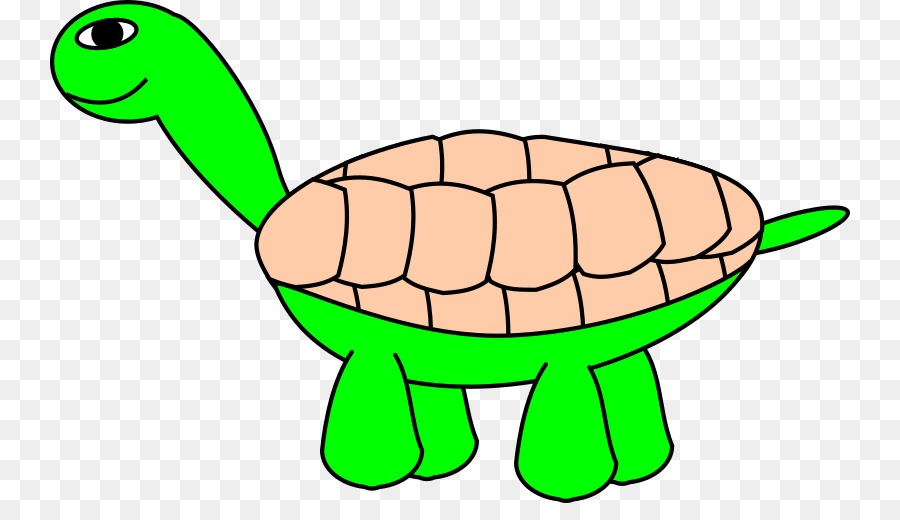 Tortue Mignonne，Dessin Animé PNG