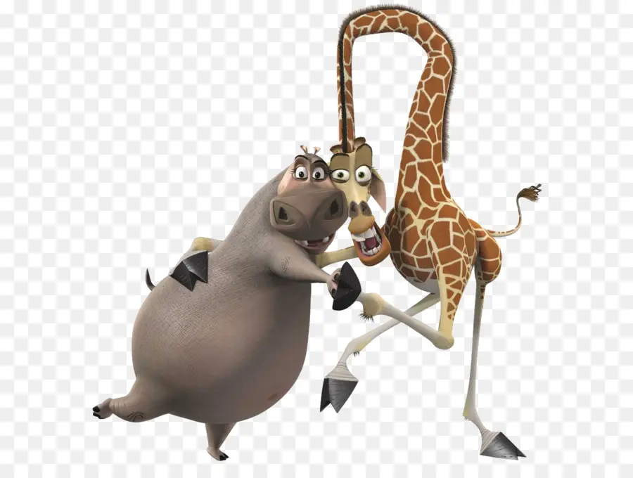 Hippopotame Et Girafe Animés，Hippopotame PNG