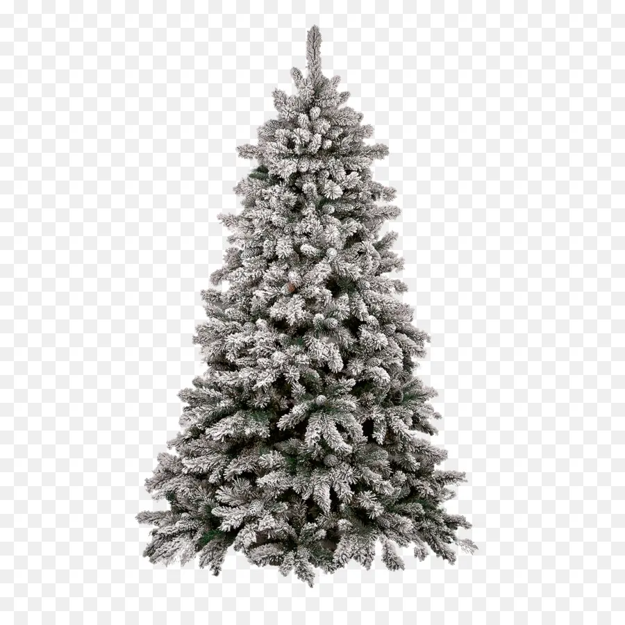 Arbre De Noël，Pin PNG