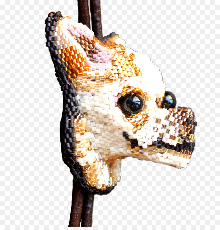 Chien，Museau PNG