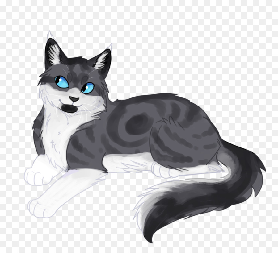 Chat Noir Et Blanc，Animal De Compagnie PNG