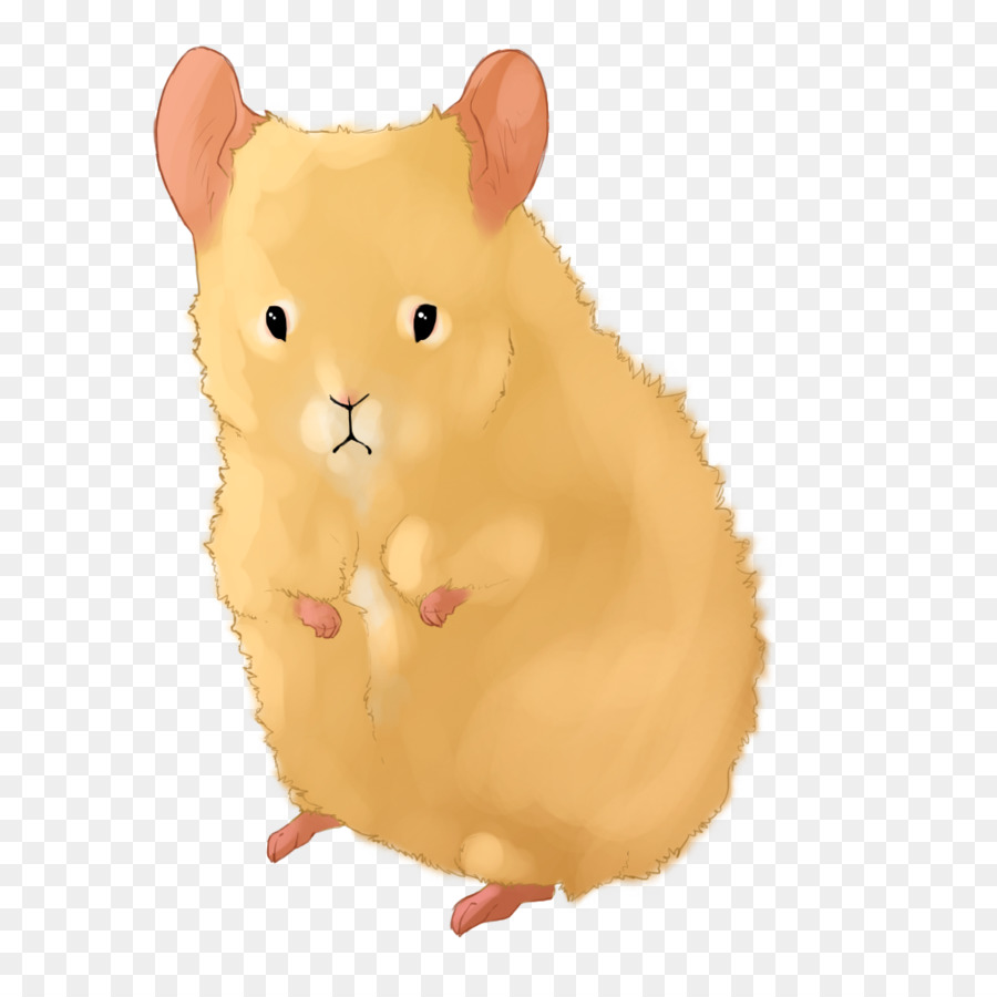 Souris Mignonne，Souris PNG