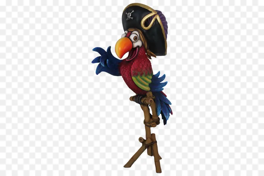 Perroquet Pirate，Chapeau De Pirate PNG