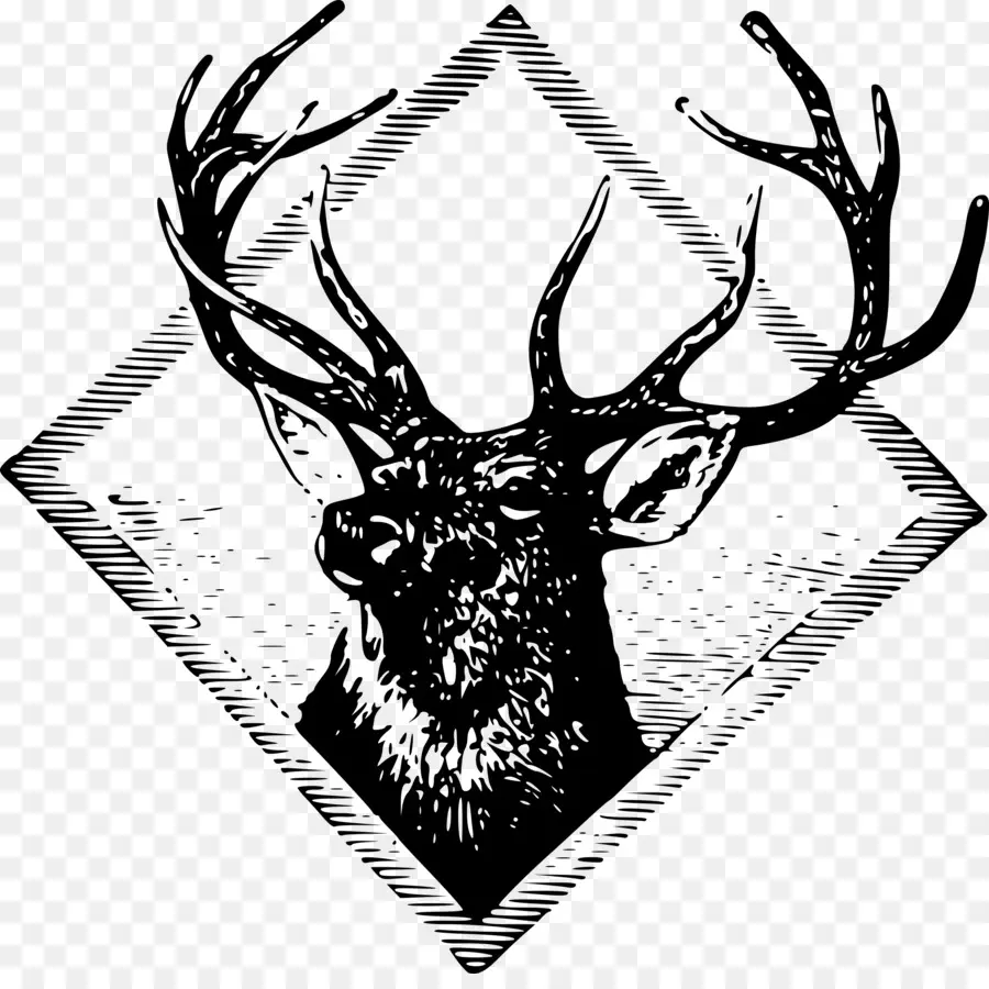 Cerf，Elk PNG