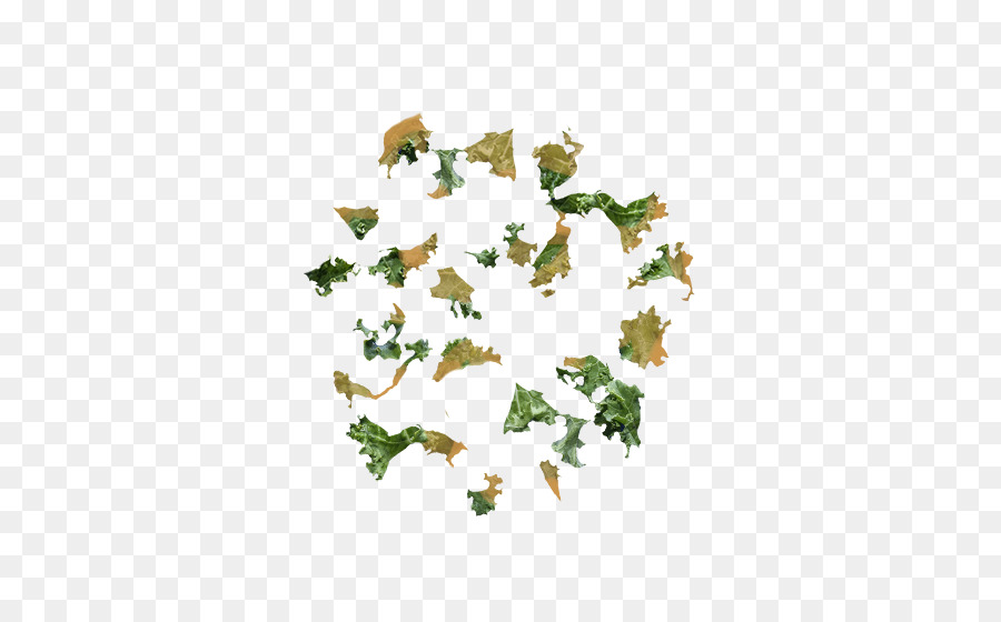 Feuilles，Feuillage PNG