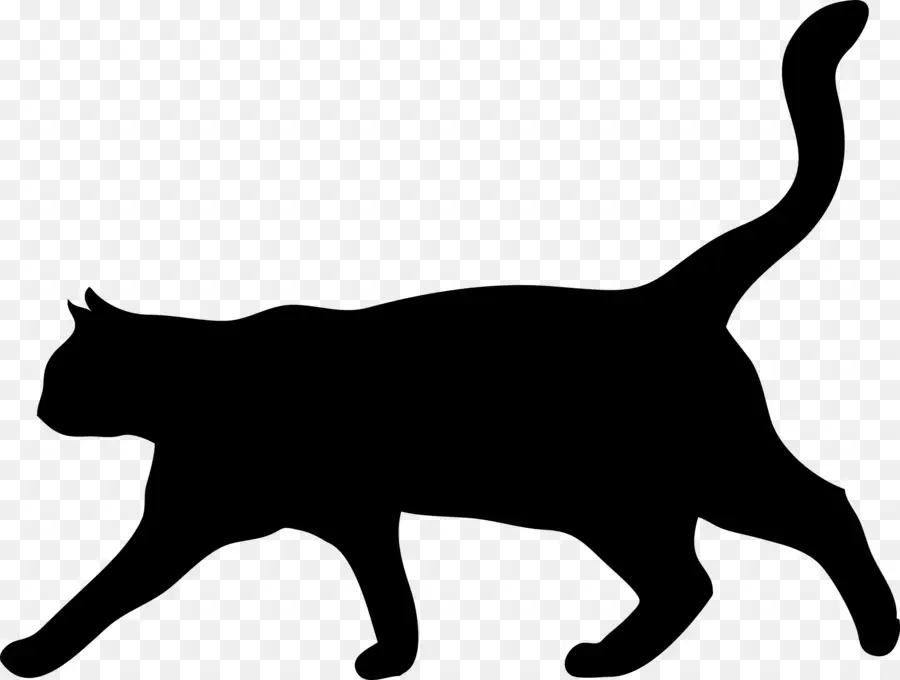 Chat Noir，Silhouette PNG