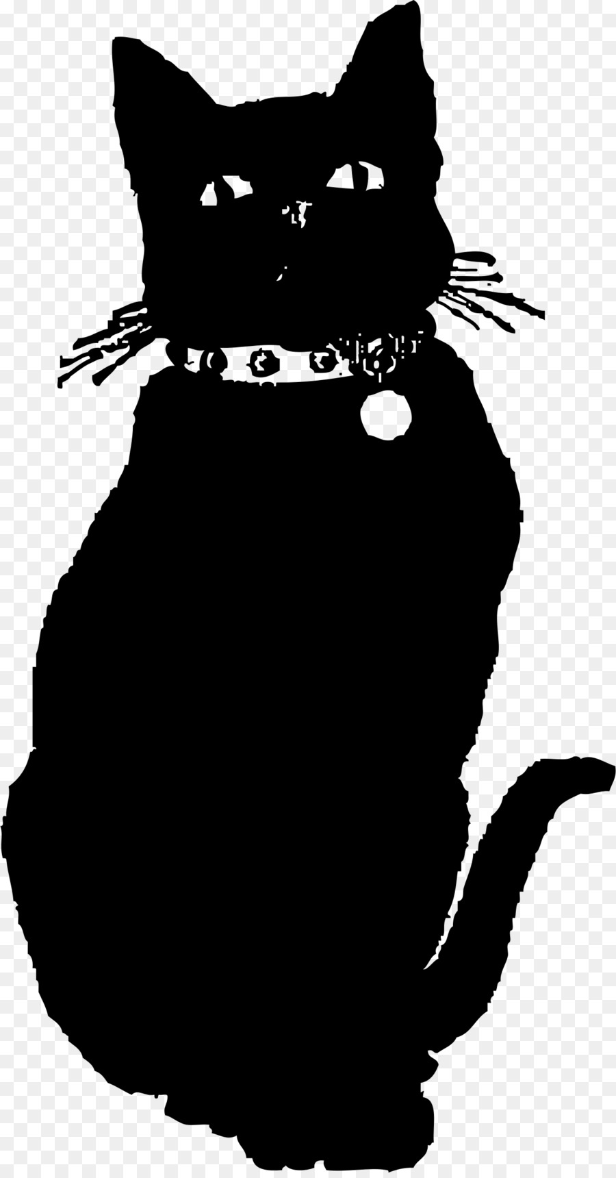 Chat Noir，Animal PNG