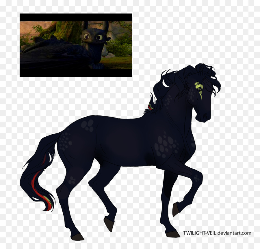 Mustang，Poney PNG