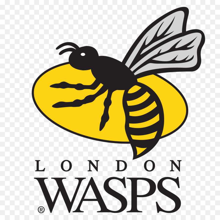 Wasps Rfc，Ricoh Arena PNG