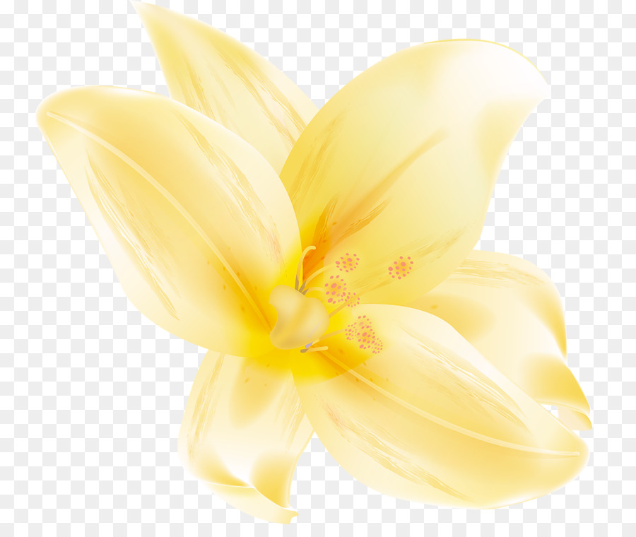 Fleurs Jaunes，Fleurir PNG