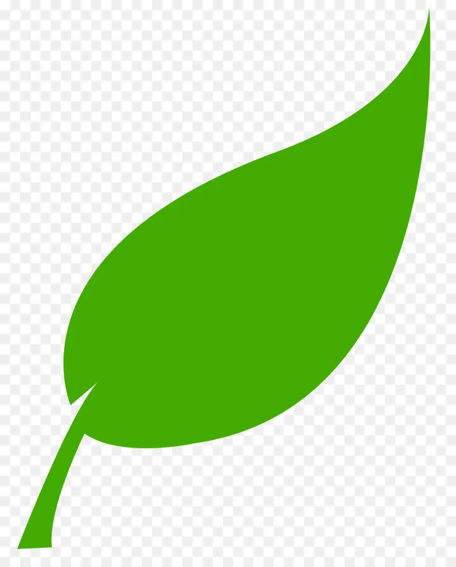 Feuille Verte，Usine PNG