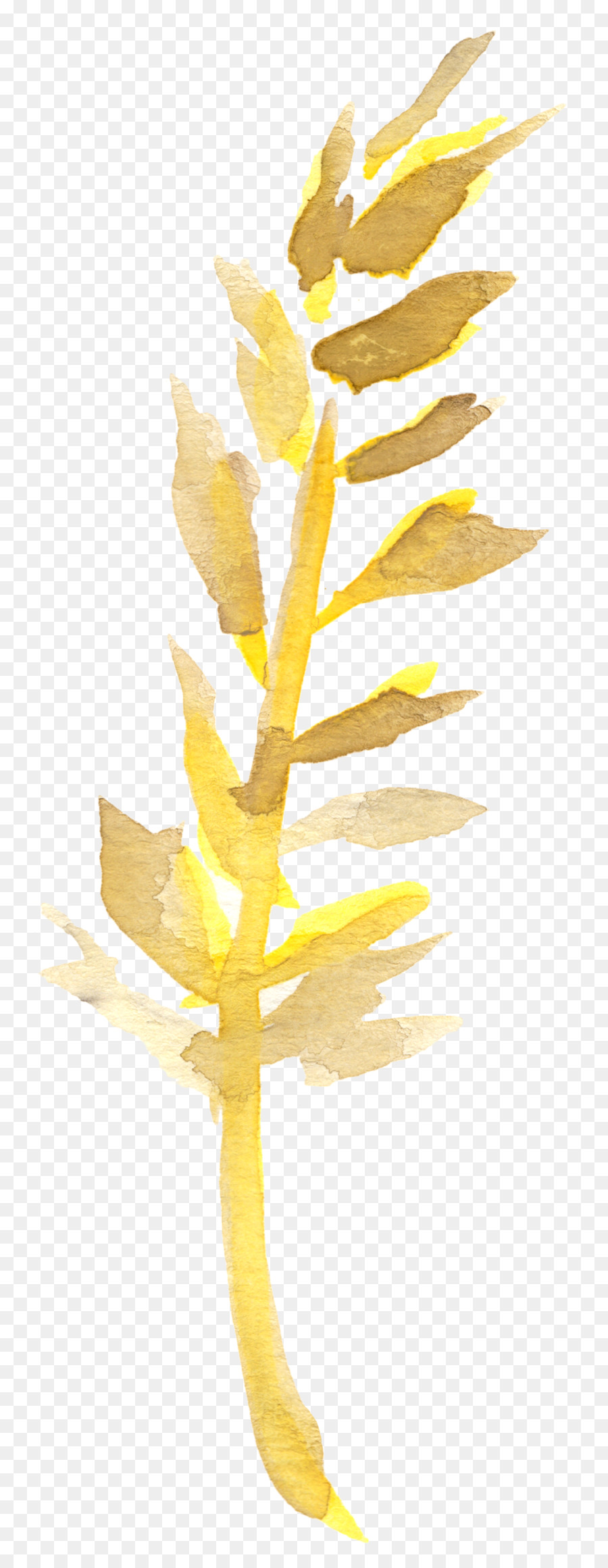 Branche，Brindille PNG