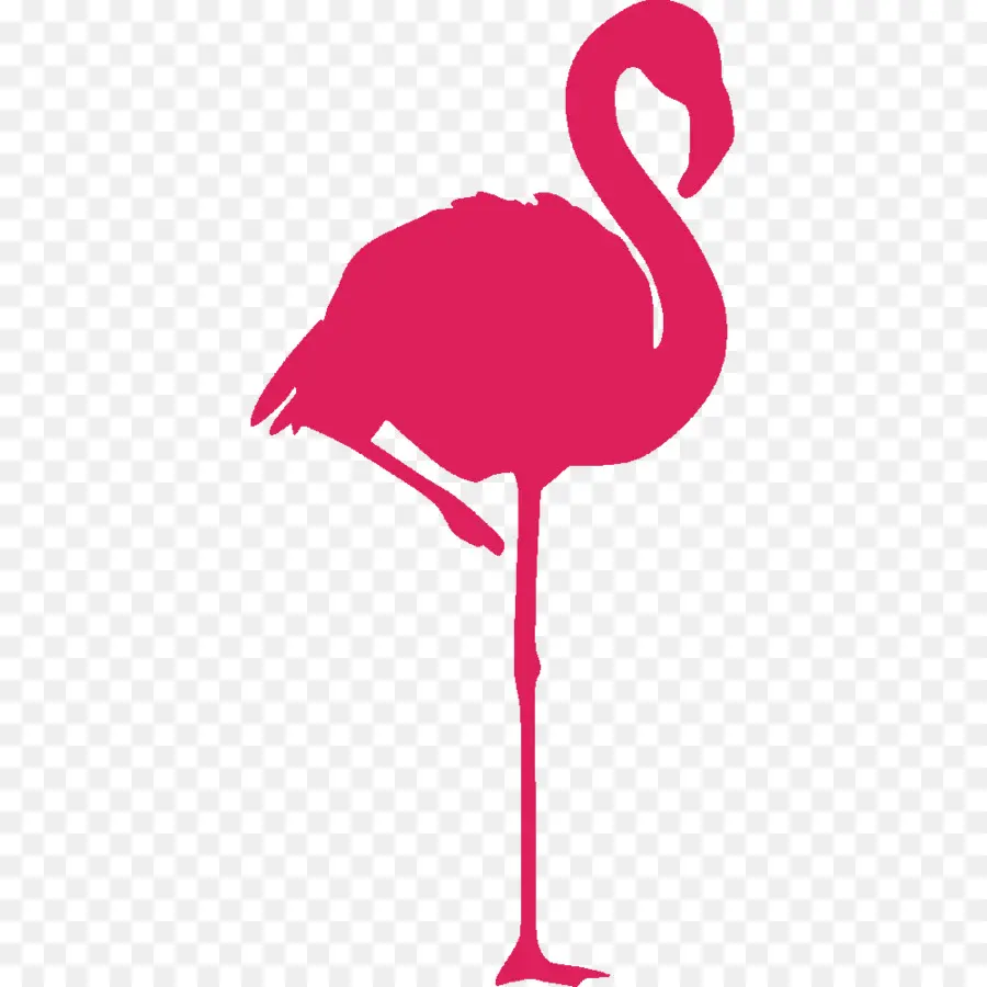 Flamant Rose，Flamingo PNG