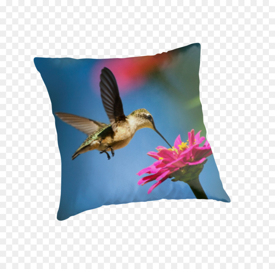 Colibri，L Art PNG