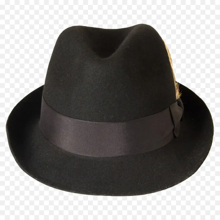 Fedora，Chapeau PNG