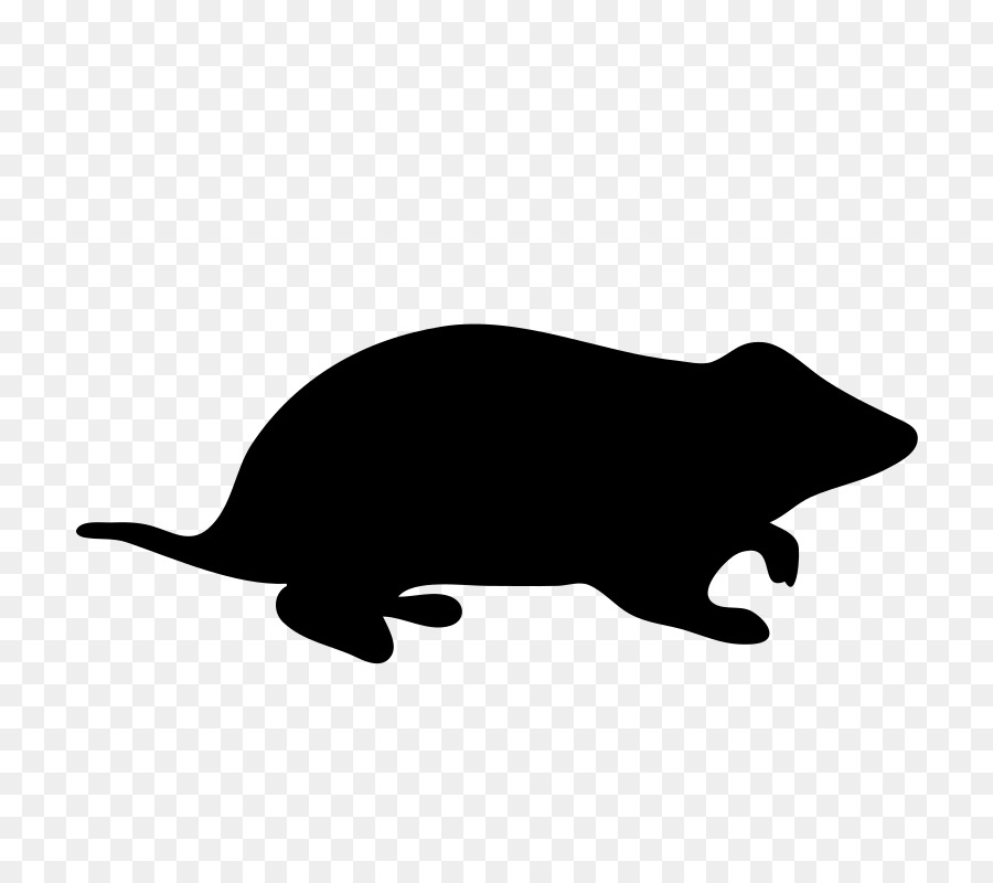 Hamster，Les Rongeurs PNG