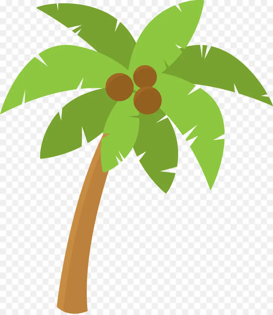 Arecaceae，Postscript Encapsulé PNG