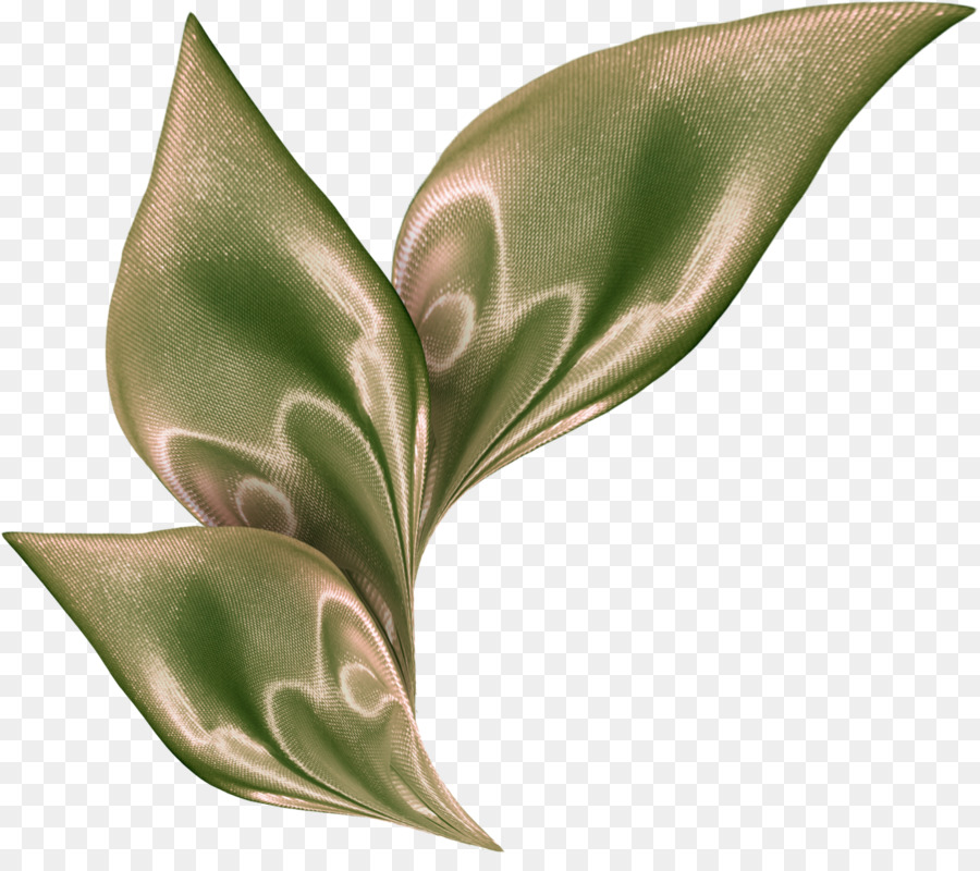 Feuille，Fleur PNG