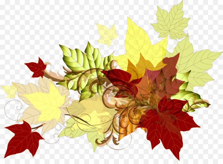 Feuilles D'automne，Automne PNG